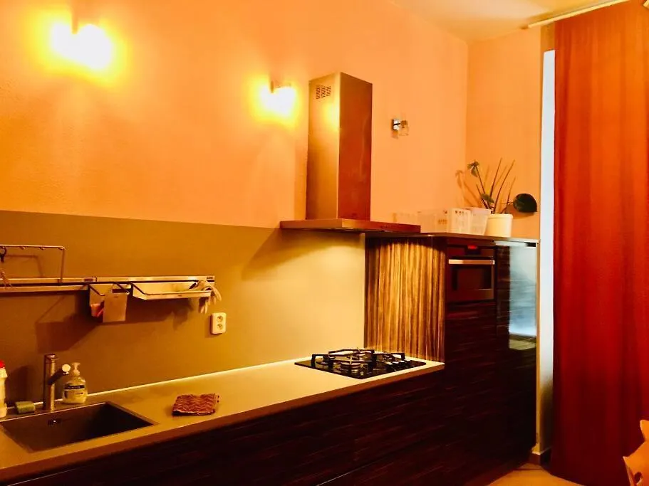 Hotel Apartment In Prague 2 Square