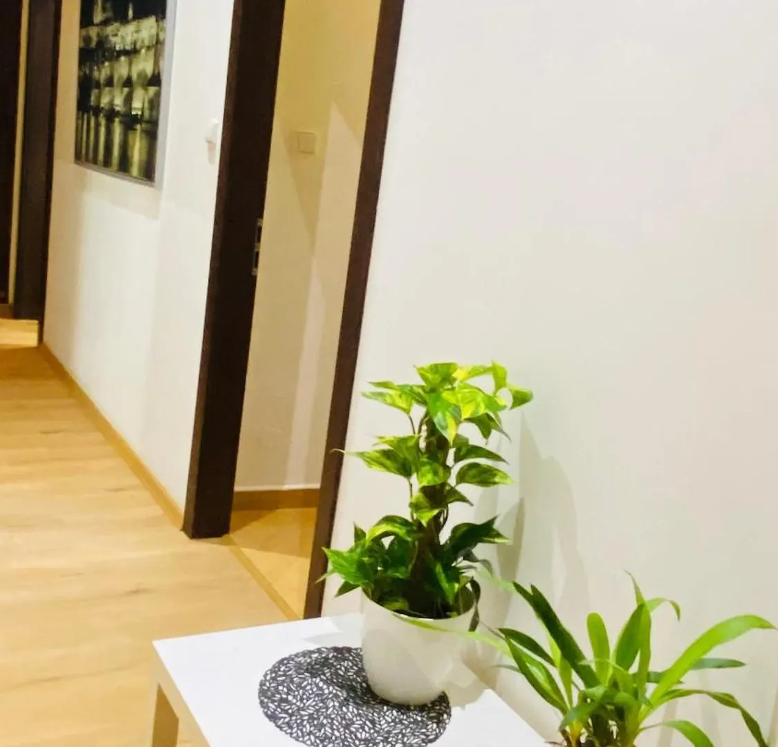 Hotel Apartment In Prague 2 Square Czech Republic
